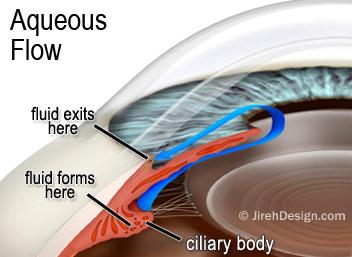 Aqueous flow in glaucoma