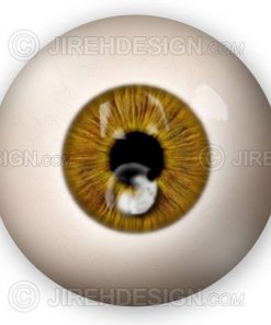 Fungal orneal ulcer graphic illustration
