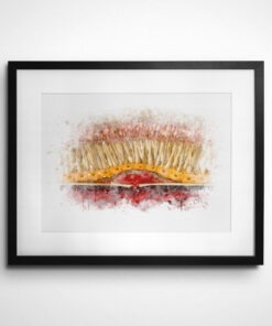 Watercolor AMD CNVM framed retina doctor gift wall art