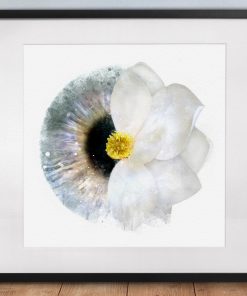 iris and flower art print